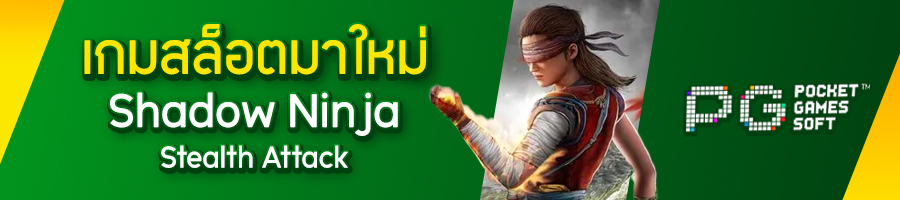 Shadow Ninja